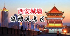拔插视频免费永久观看中国陕西-西安城墙旅游风景区