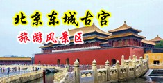 SS视频羞羞答答中国北京-东城古宫旅游风景区